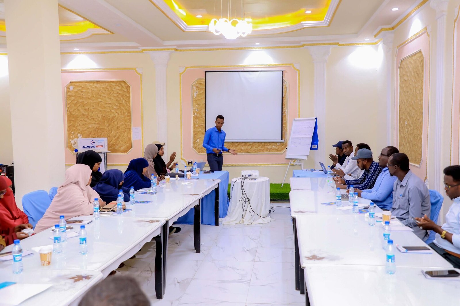 HCG professional consulting and field engagement